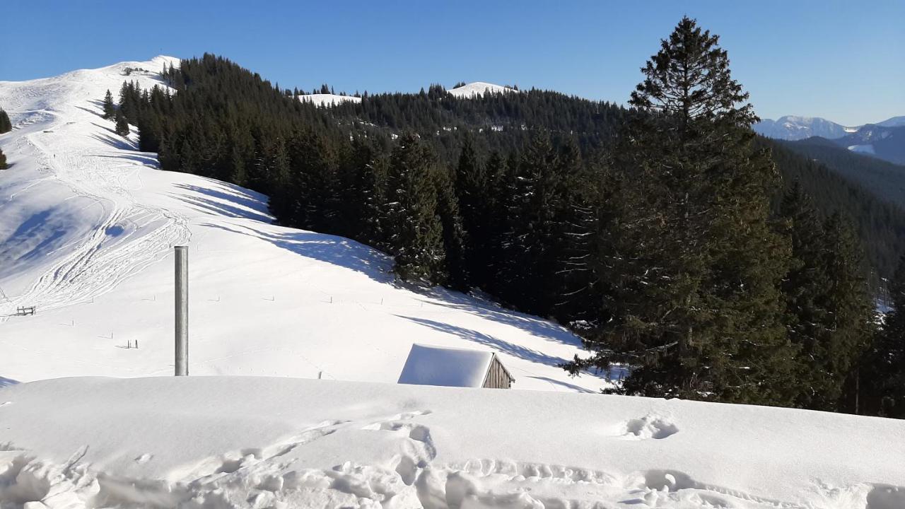 Kultur, Berge, Seen, Moor - Das Lebensglueck Мурнау-ам-Штаффельзее Экстерьер фото